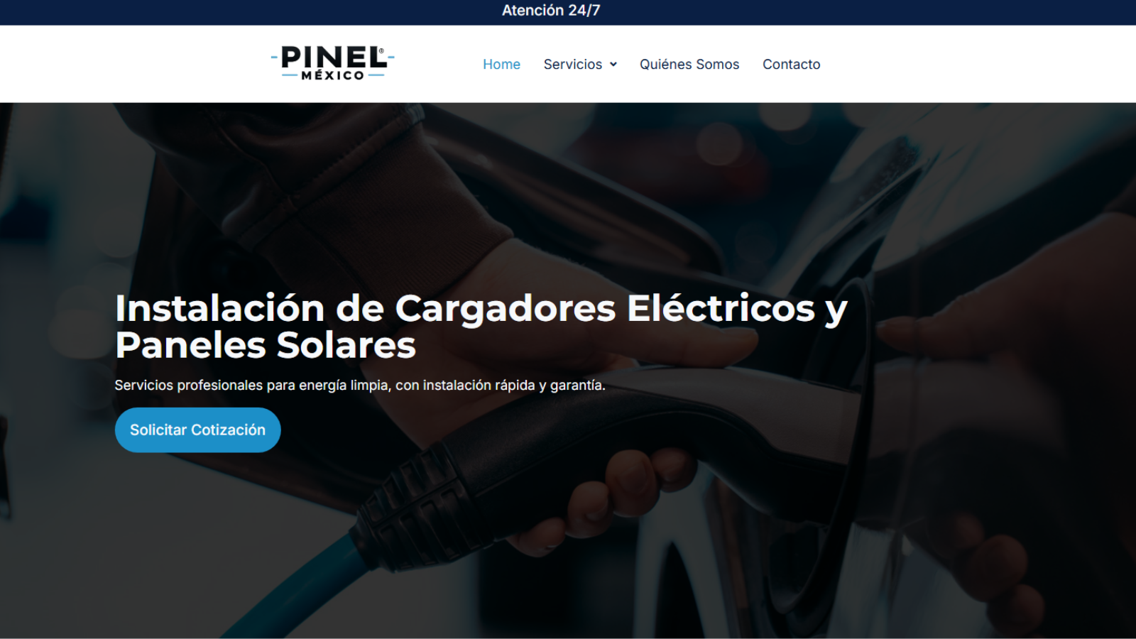 Diseño Web Morelia - Pinel